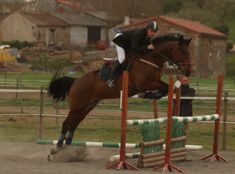 Ferme equestre du gray